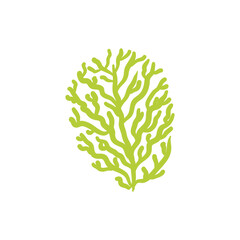 Seaweed logo EPS template icons vector illustration transparent background