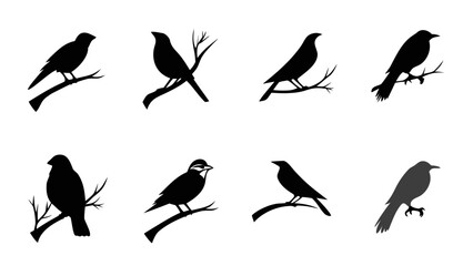 Obraz premium Silhouette Collection of Birds on Branches animal