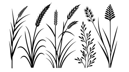 Obraz premium Abstract White Streaks on Black Background lines light