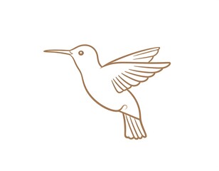 Obraz premium Simple line drawing of a hummingbird in flight (1)
