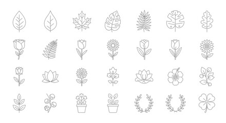 Collection of minimalist line art floral and leaf illustrations.