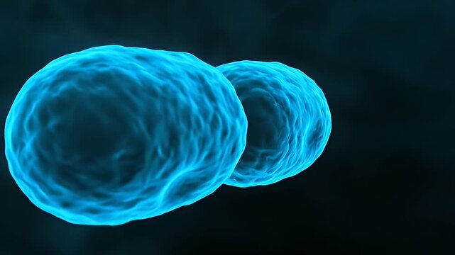 Close-up 3D Render of Glowing Blue Bacteria Cell Dividing and Reproducing in Dark Microscopic