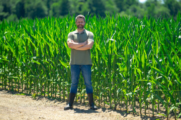 A farmer is on the corn field on farm. The farmer is working on corn farm. Portrait of a male...