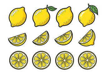 Vintage style lemon fruit and slice illustration set
