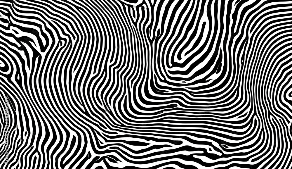 Poster A mesmerizing black and white abstract pattern featuring fluid, wavy lines creating dynamic visual movement.
