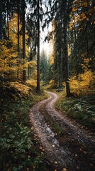 A winding path through a serene forest, surrounded by vibrant fall foliage and tall trees, creating a peaceful and natural atmosphere.
