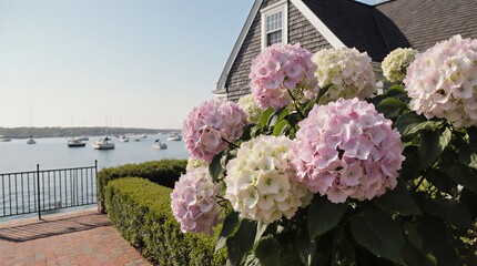 lush pink hydrangeas bloom beautifully alongside a charming coastal home with a stunning ocean view | gardening, travel, landscape, seaside, floral theme