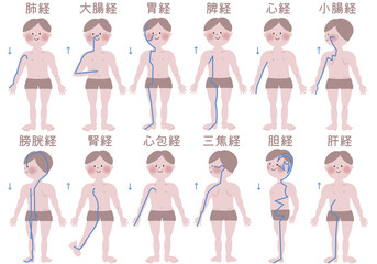 正経十二経脈の大まかな流注を若い男性の身体で表したイラスト