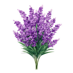 Obraz premium Purple lavender bouquet with green stems on a clean white background. Centered botanical arrangement. Calm wellness and natural freshness. Ideal for spa branding, packaging