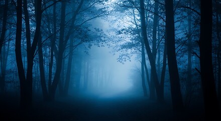 Fototapeta premium Mysterious Blue Foggy Forest Path.