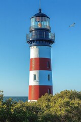 Tall red and white striped lighthouse standing near a green bushy area under clear blue sky with a seagull flying nearby