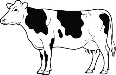 Fototapeta premium Black and white illustration of a healthy dairy cow standing peacefully.