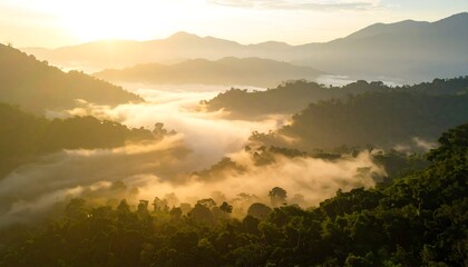 Naklejka premium Misty Mountains Sunrise Over Lush Green Forest Canopy.