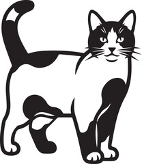 illustration tuxedo cat vector