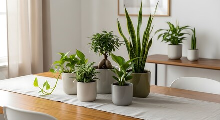 Various potted houseplants arranged on a wooden table with a white runner