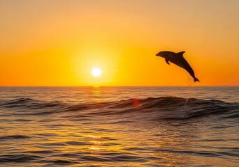A wide ocean view with a single dolphin leaping above glowing sunset waves, cinematic horizon