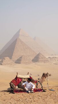 pyramids of egypt and camels scene on the desert vertical video