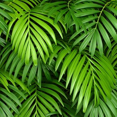 green leaves background
