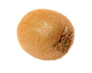 kiwi fruit isolated on white
