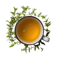 Herbal tea, thyme sprigs, in a cup