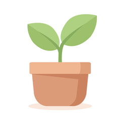 Small plant in pot, green leaves and brown pot