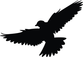 Flying Angola lark bird Silhouette Design And Vector Illustration. 