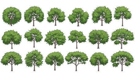 Fototapeta premium illustration of trees diverse trees in varying shapes offering greenery for nature scenes ideal for background textures and environmental designs.
