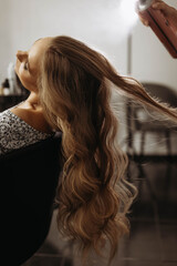 Makeup artist hairdresser sprays hairspray on model head and hair. Vertical