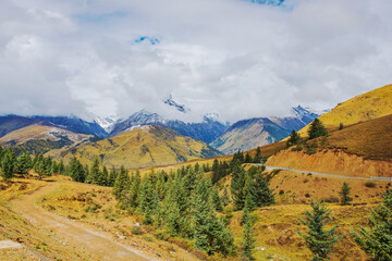 Natural beauty of grasslands, pastures, snow mountains in Xizang, China	