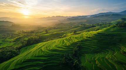 Sunrise Over Lush Green Rice Terraces