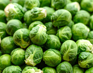 Fototapeta premium Fresh Green Brussels Sprouts Pile, Close-Up Vegetable Still Life