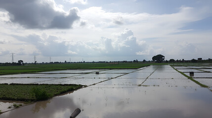Flooded agricultural land under a partly cloudy sky