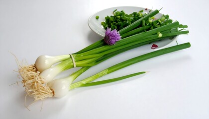 Fresh green onions and chives