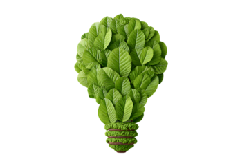 Green leaf lightbulb symbolizing organic ideas and sustainable innovation isolated on transparent background
