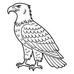 Fototapeta premium Detailed black and white illustration of a majestic eagle standing proudly