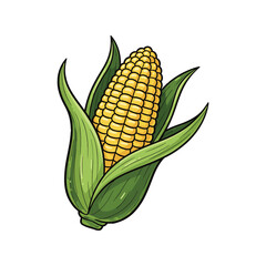Obraz premium A realistic and detailed illustration of a ripe corn on the cob, with golden kernels peeking through the green husks. vector illustration
