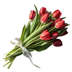 Fototapeta premium Bouquet of red tulips tied with a white ribbon isolated on transparent background