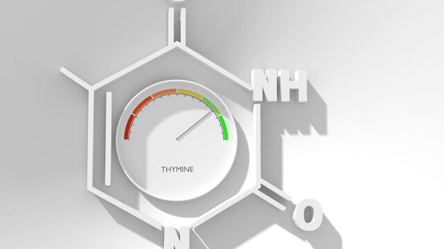 Chemical structural formula of thymine- DNA and RNA nitrogen base. Meter with level scale. Concept of medicine and pharmacy.