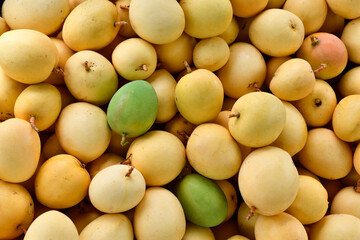 Yunnan Mango, China