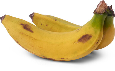 two ripe bananas with yellow peels and brown spots green stem isolated white background, healthy fruit with natural aging process, wholesome eating