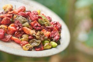 close-up of pile of overripe chili peppers in red green on tray blurry garden background, side view with copy space, sustainability and renewal concept
