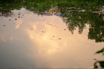 Trash and plastic debris float on a polluted water surface, which reflects a golden sunset sky, clouds, and green foliage.