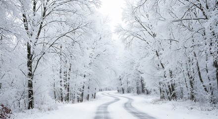 Obraz premium 静寂な森道 白銀の雪景色 柔らかな光が降り注ぐ. AI Generated