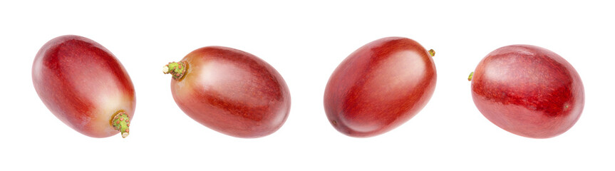 red grapes isolated © Amelia NF