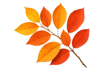 Autumn leaves falling in golden, orange hues, casting warm seasonal glow against transparent background