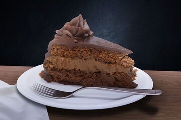 Decadent chocolate cake slice on a plate.