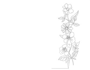 Elegant floral line drawing