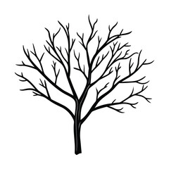 Obraz premium silhouette of bare tree branch with twigs natural