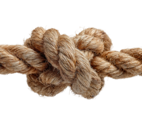 Rope knot tying techniques workshop instructional guide nature isolated on transparent background