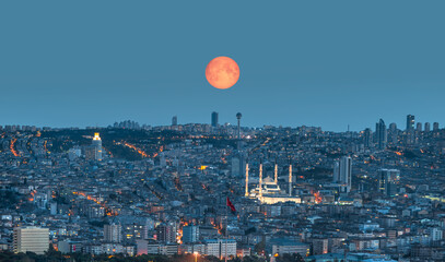 Fototapety na wymiar - Fototapeta24.pl